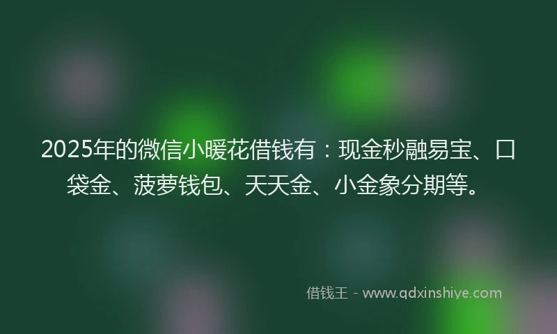2025年的微信小暖花借钱有：现金秒融易宝、口袋金、菠萝钱包、天天金、小金象分期等。