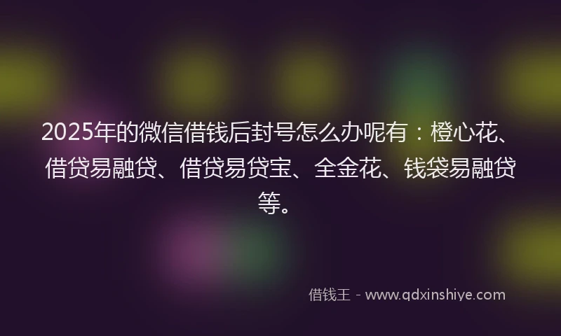 2025年的微信借钱后封号怎么办呢有:橙心花、借贷易融贷、借贷易贷宝、全金花、钱袋易融贷等。