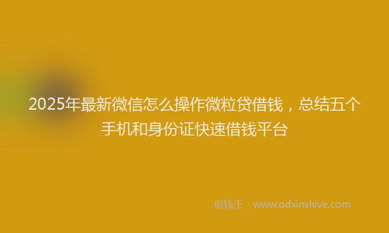 2025年最新微信怎么操作微粒贷借钱，总结五个手机和身份证快速借钱平台