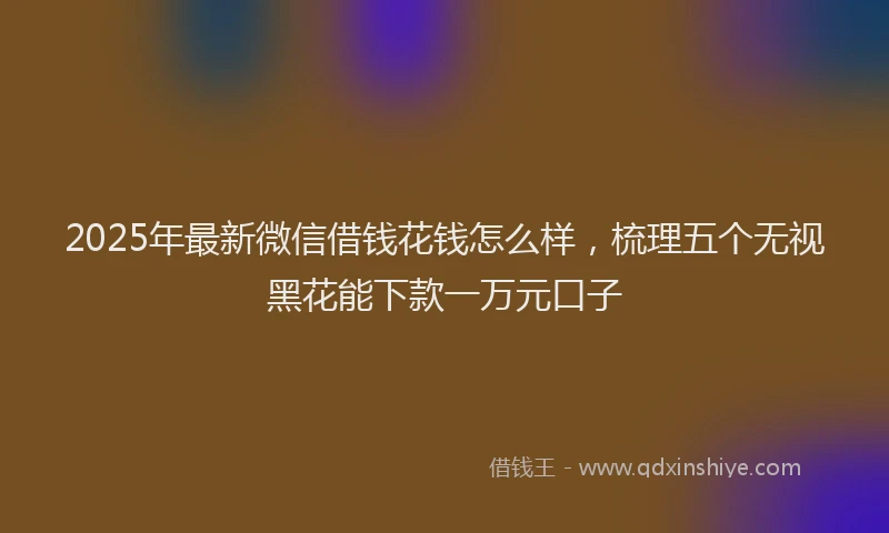 2025年最新微信借钱花钱怎么样，梳理五个无视黑花能下款一万元口子