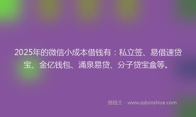 2025年的微信小成本借钱有：私立签、易借速贷宝、金亿钱包、涌泉易贷、分子贷宝盒等。
