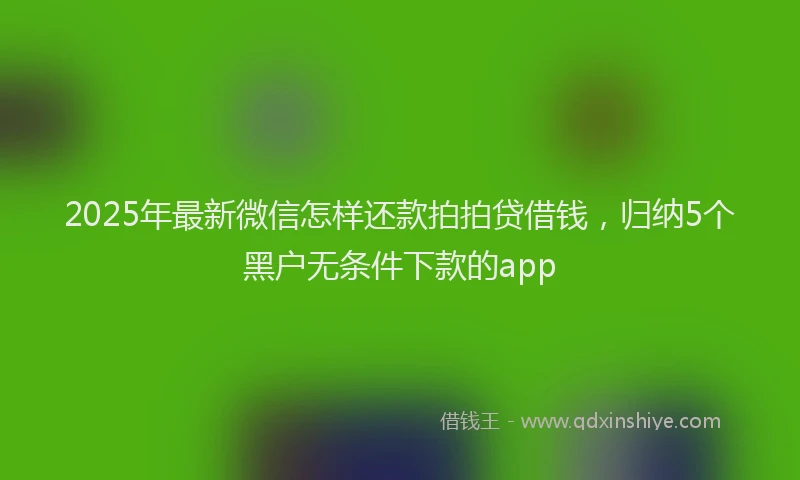 2025年最新微信怎样还款拍拍贷借钱，归纳5个黑户无条件下款的app