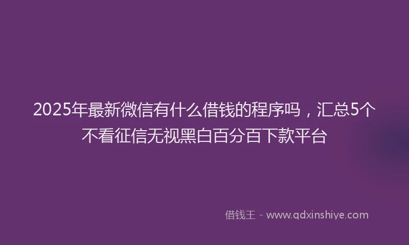 2025年最新微信有什么借钱的程序吗，汇总5个不看征信无视黑白百分百下款平台