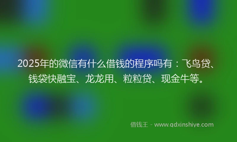 2025年的微信有什么借钱的程序吗有：飞鸟贷、钱袋快融宝、龙龙用、粒粒贷、现金牛等。