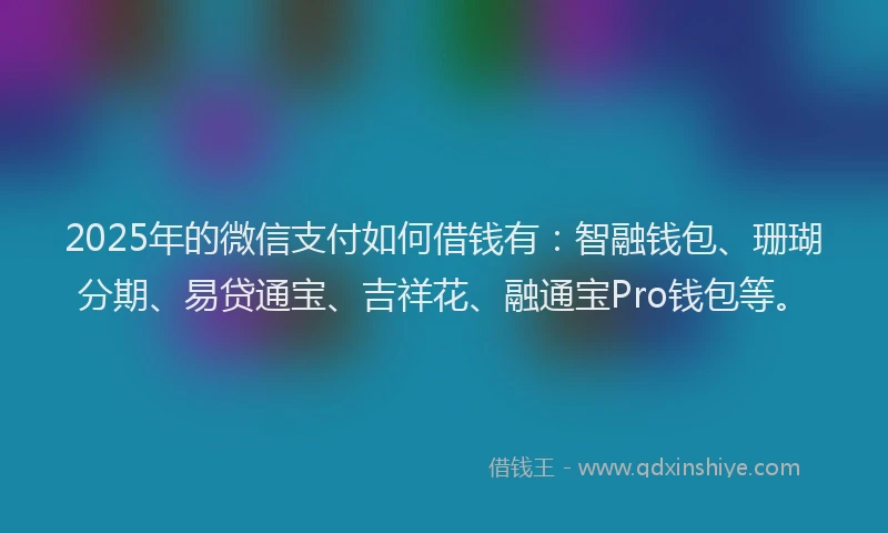 2025年的微信支付如何借钱有：智融钱包、珊瑚分期、易贷通宝、吉祥花、融通宝Pro钱包等。
