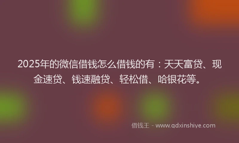 2025年的微信借钱怎么借钱的有：天天富贷、现金速贷、钱速融贷、轻松借、哈银花等。