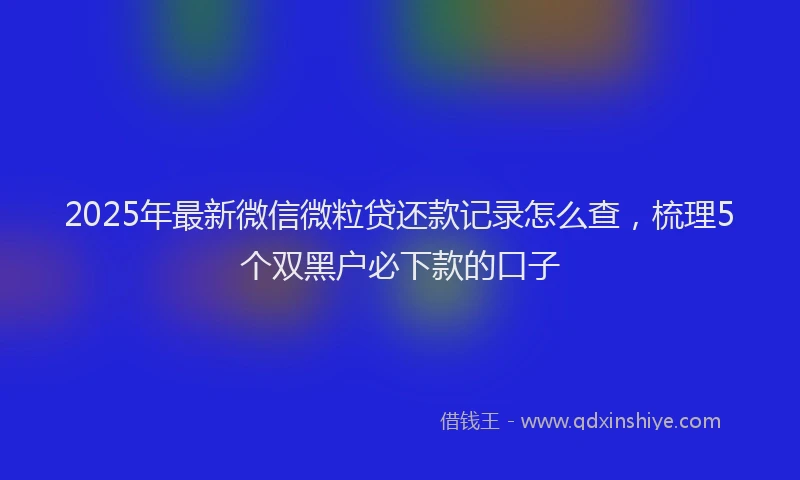 2025年最新微信微粒贷还款记录怎么查，梳理5个双黑户必下款的口子