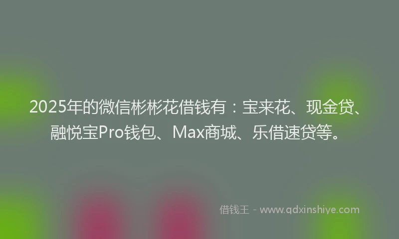 2025年的微信彬彬花借钱有：宝来花、现金贷、融悦宝Pro钱包、Max商城、乐借速贷等。