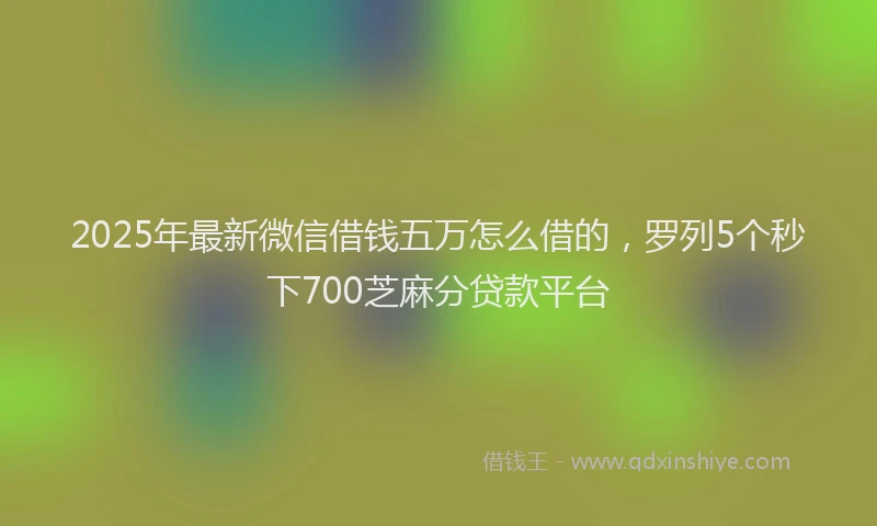 2025年最新微信借钱五万怎么借的，罗列5个秒下700芝麻分贷款平台