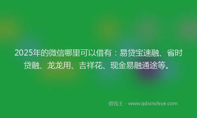2025年的微信哪里可以借有：易贷宝速融、省时贷融、龙龙用、吉祥花、现金易融通途等。