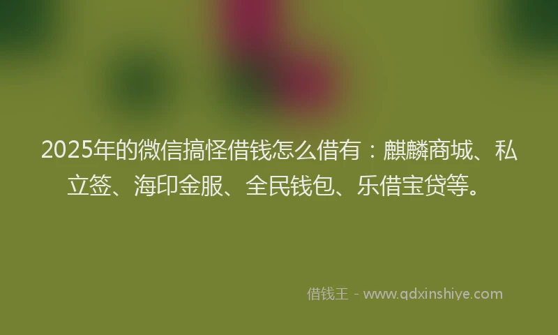 2025年的微信搞怪借钱怎么借有：麒麟商城、私立签、海印金服、全民钱包、乐借宝贷等。