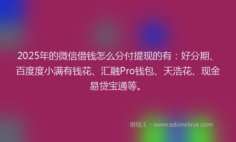 2025年的微信借钱怎么分付提现的有：好分期、百度度小满有钱花、汇融Pro钱包、天浩花、现金易贷宝通等。