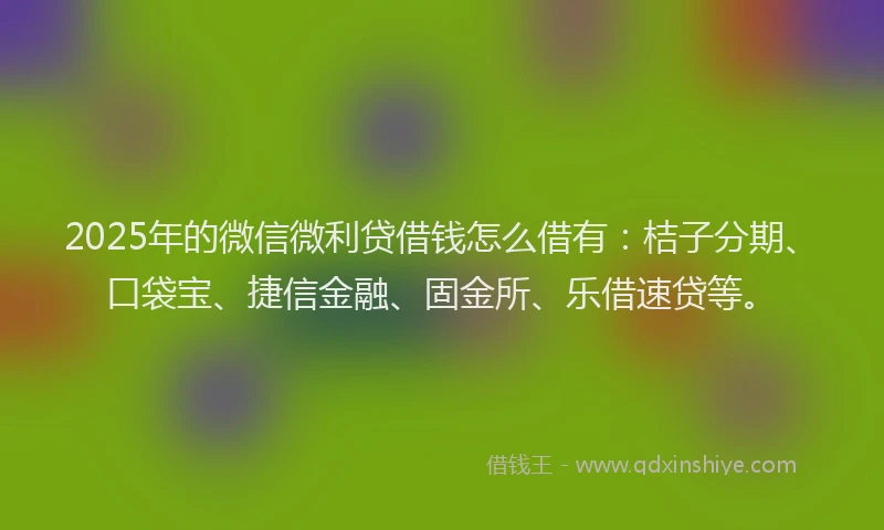 2025年的微信微利贷借钱怎么借有：桔子分期、口袋宝、捷信金融、固金所、乐借速贷等。