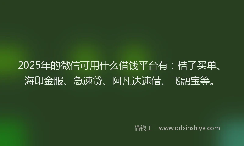 2025年的微信可用什么借钱平台有：桔子买单、海印金服、急速贷、阿凡达速借、飞融宝等。
