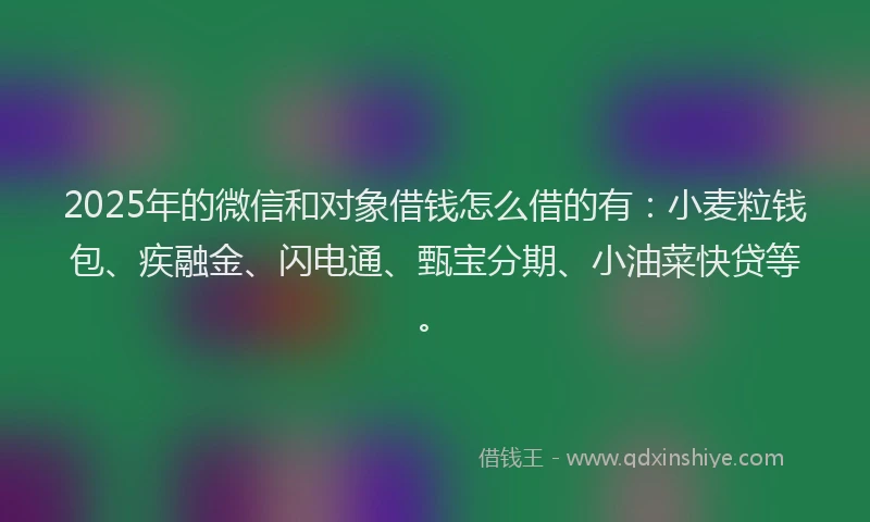 2025年的微信和对象借钱怎么借的有：小麦粒钱包、疾融金、闪电通、甄宝分期、小油菜快贷等。