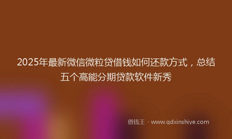 2025年最新微信微粒贷借钱如何还款方式，总结五个高能分期贷款软件新秀