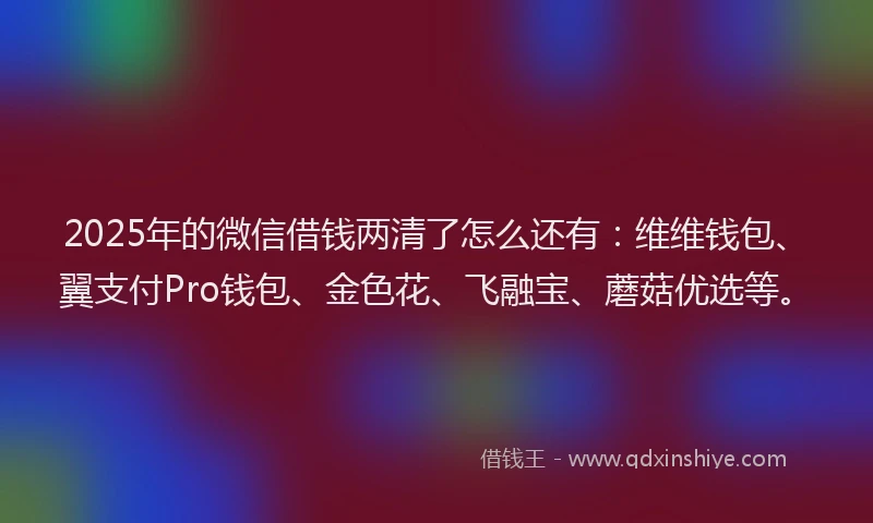 2025年的微信借钱两清了怎么还有：维维钱包、翼支付Pro钱包、金色花、飞融宝、蘑菇优选等。