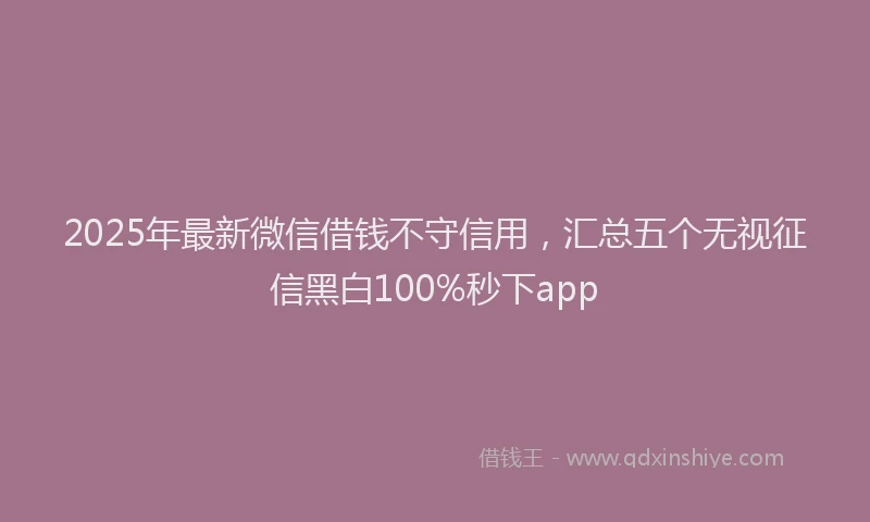2025年最新微信借钱不守信用，汇总五个无视征信黑白100%秒下app