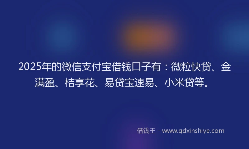 2025年的微信支付宝借钱口子有：微粒快贷、金满盈、桔享花、易贷宝速易、小米贷等。