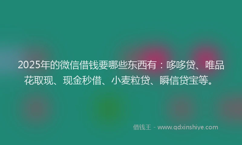 2025年的微信借钱要哪些东西有：哆哆贷、唯品花取现、现金秒借、小麦粒贷、瞬信贷宝等。