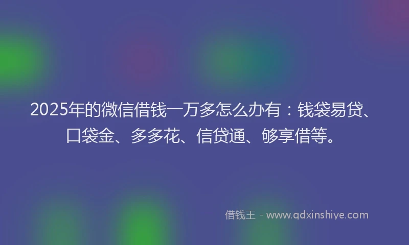 2025年的微信借钱一万多怎么办有：钱袋易贷、口袋金、多多花、信贷通、够享借等。