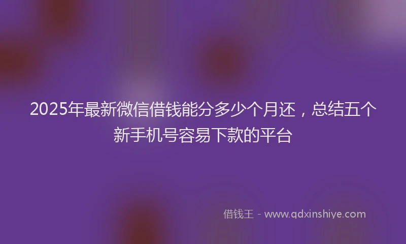2025年最新微信借钱能分多少个月还，总结五个新手机号容易下款的平台