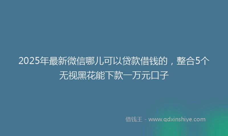 2025年最新微信哪儿可以贷款借钱的，整合5个无视黑花能下款一万元口子