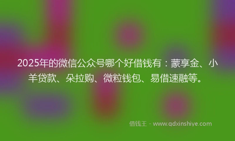 2025年的微信公众号哪个好借钱有：蒙享金、小羊贷款、朵拉购、微粒钱包、易借速融等。