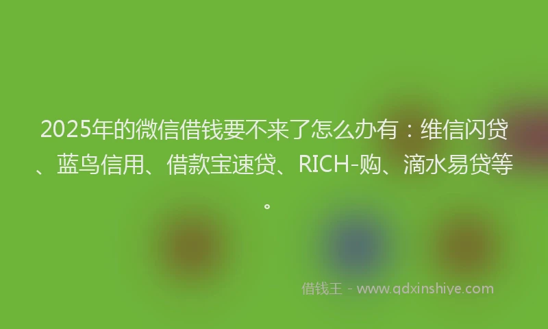 2025年的微信借钱要不来了怎么办有：维信闪贷、蓝鸟信用、借款宝速贷、RICH-购、滴水易贷等。