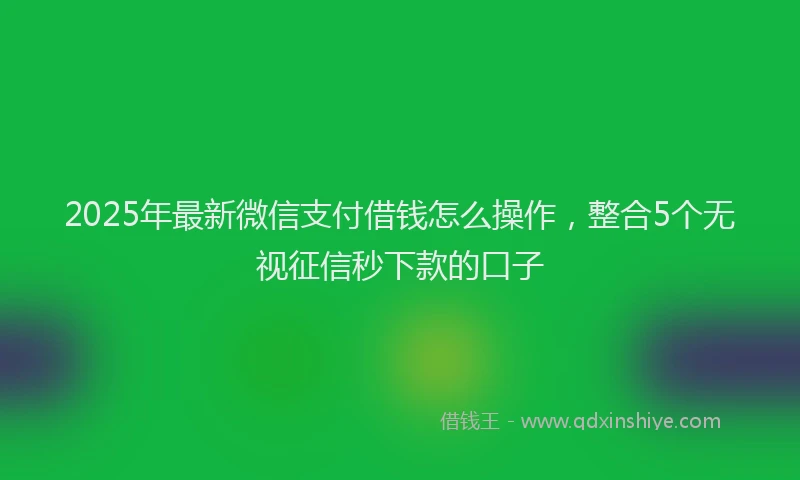 2025年最新微信支付借钱怎么操作，整合5个无视征信秒下款的口子