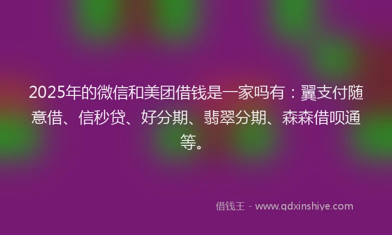 2025年的微信和美团借钱是一家吗有：翼支付随意借、信秒贷、好分期、翡翠分期、森森借呗通等。