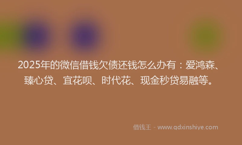 2025年的微信借钱欠债还钱怎么办有：爱鸿森、臻心贷、宜花呗、时代花、现金秒贷易融等。