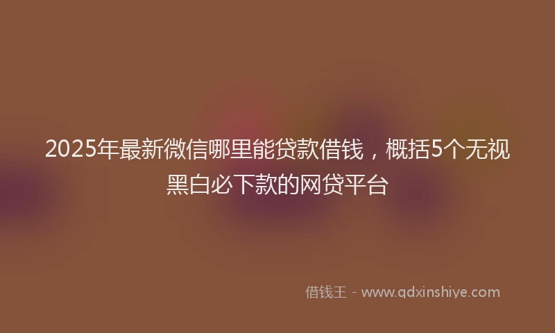 2025年最新微信哪里能贷款借钱，概括5个无视黑白必下款的网贷平台