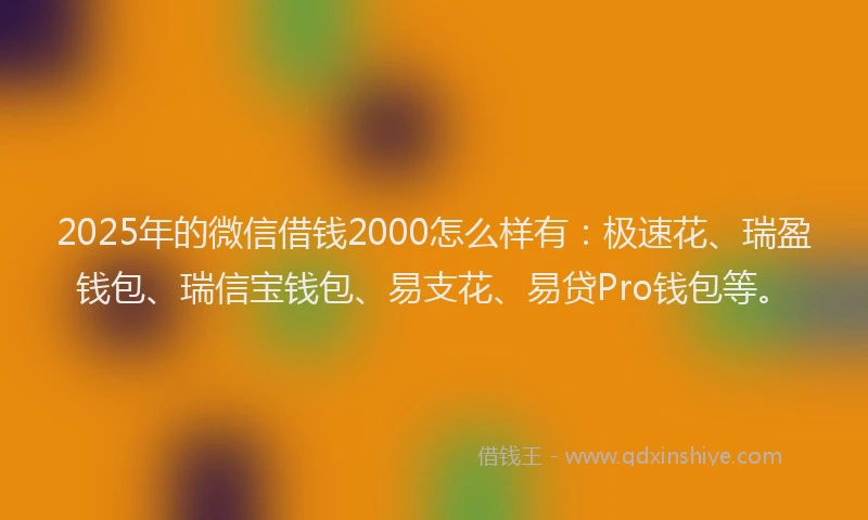 2025年的微信借钱2000怎么样有：极速花、瑞盈钱包、瑞信宝钱包、易支花、易贷Pro钱包等。