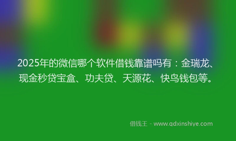 2025年的微信哪个软件借钱靠谱吗有：金瑞龙、现金秒贷宝盒、功夫贷、天源花、快鸟钱包等。