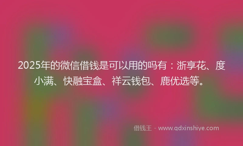 2025年的微信借钱是可以用的吗有：浙享花、度小满、快融宝盒、祥云钱包、鹿优选等。