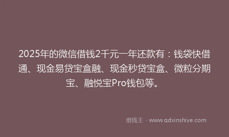 2025年的微信借钱2千元一年还款有：钱袋快借通、现金易贷宝盒融、现金秒贷宝盒、微粒分期宝、融悦宝Pro钱包等。
