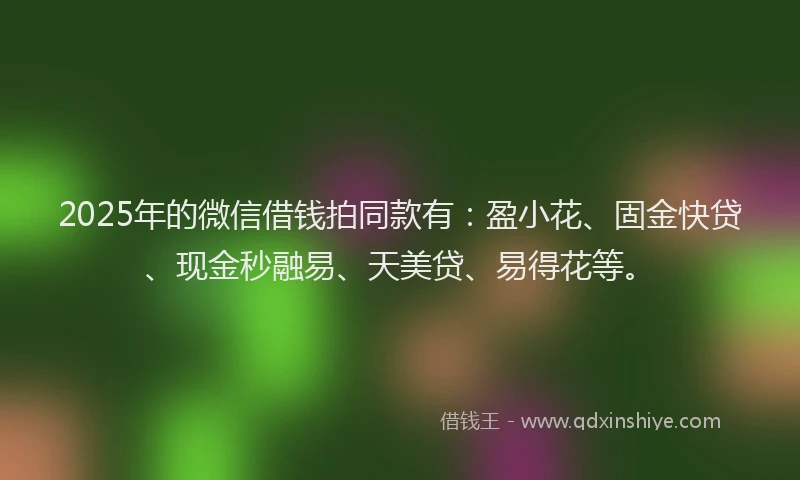 2025年的微信借钱拍同款有：盈小花、固金快贷、现金秒融易、天美贷、易得花等。