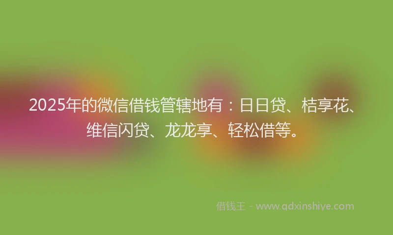 2025年的微信借钱管辖地有：日日贷、桔享花、维信闪贷、龙龙享、轻松借等。