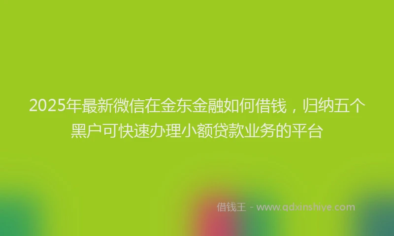2025年最新微信在金东金融如何借钱，归纳五个黑户可快速办理小额贷款业务的平台