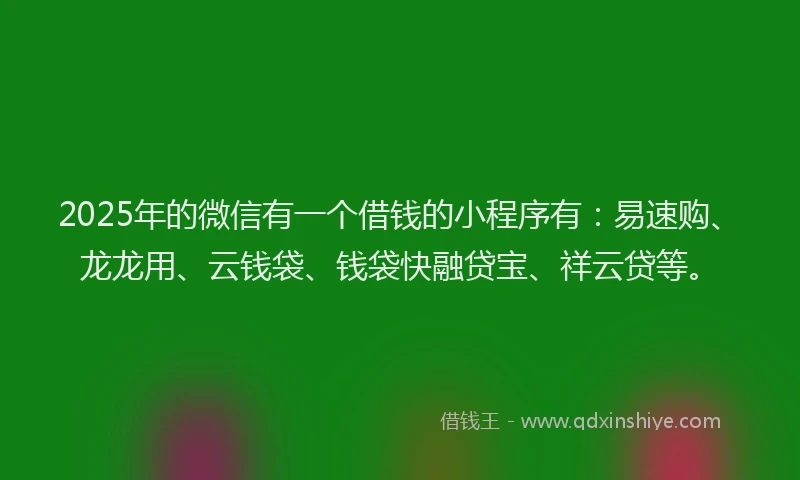2025年的微信有一个借钱的小程序有：易速购、龙龙用、云钱袋、钱袋快融贷宝、祥云贷等。