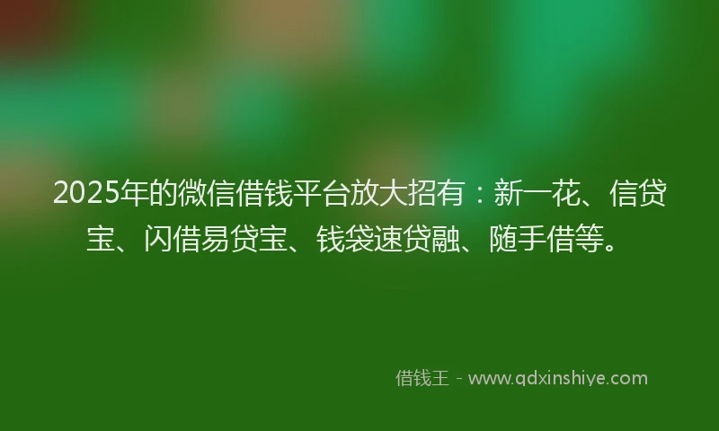 2025年的微信借钱平台放大招有：新一花、信贷宝、闪借易贷宝、钱袋速贷融、随手借等。