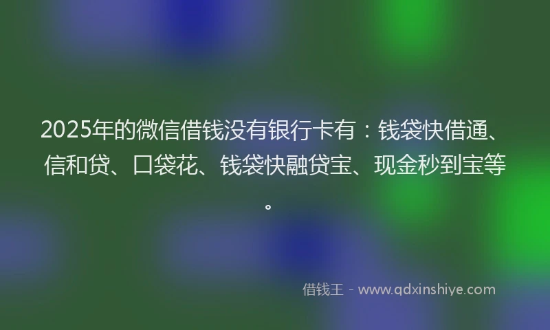 2025年的微信借钱没有银行卡有：钱袋快借通、信和贷、口袋花、钱袋快融贷宝、现金秒到宝等。