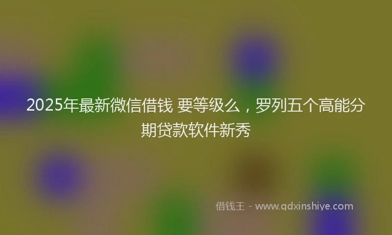 2025年最新微信借钱 要等级么，罗列五个高能分期贷款软件新秀