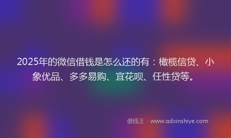 2025年的微信借钱是怎么还的有：橄榄信贷、小象优品、多多易购、宜花呗、任性贷等。