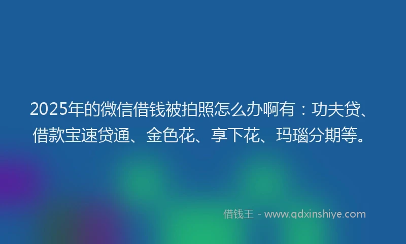 2025年的微信借钱被拍照怎么办啊有：功夫贷、借款宝速贷通、金色花、享下花、玛瑙分期等。