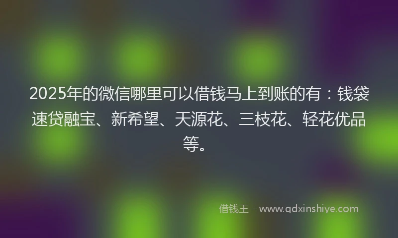 2025年的微信哪里可以借钱马上到账的有：钱袋速贷融宝、新希望、天源花、三枝花、轻花优品等。