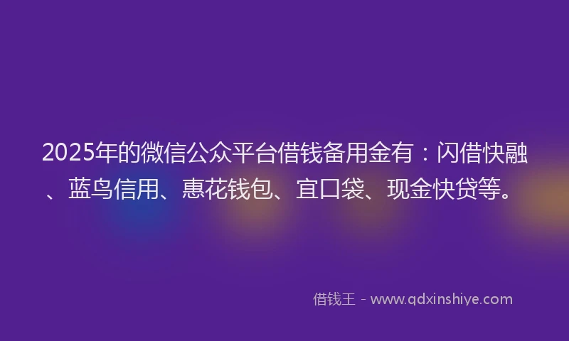 2025年的微信公众平台借钱备用金有：闪借快融、蓝鸟信用、惠花钱包、宜口袋、现金快贷等。