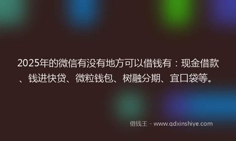 2025年的微信有没有地方可以借钱有：现金借款、钱进快贷、微粒钱包、树融分期、宜口袋等。
