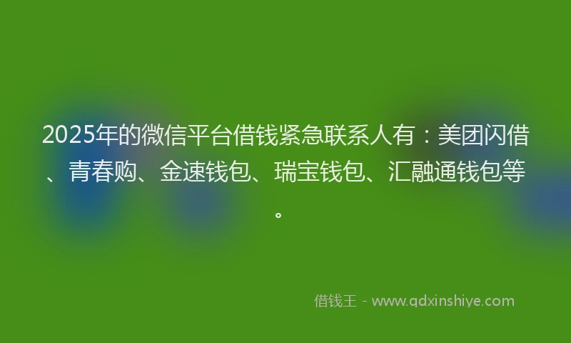 2025年的微信平台借钱紧急联系人有：美团闪借、青春购、金速钱包、瑞宝钱包、汇融通钱包等。